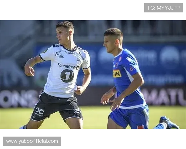 亚博体育客户端：丰富的体育赛事类别与投注方式介绍